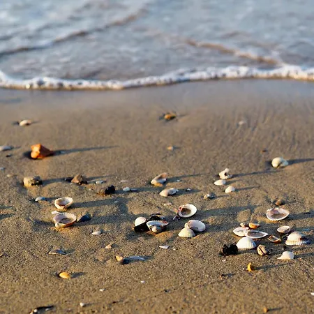 With Pool In 54750 Διαμέρισμα *