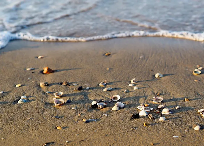 With Pool In 54750 Διαμέρισμα *